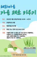 가을채소키우기